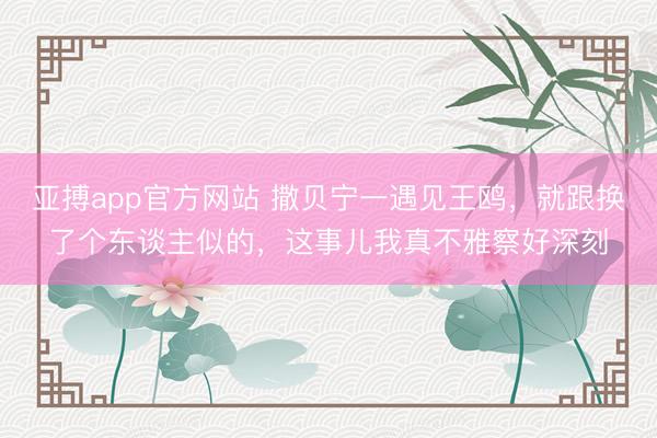亚搏app官方网站 撒贝宁一遇见王鸥,就跟换了个东谈主似的,这事儿我真不雅察好深刻