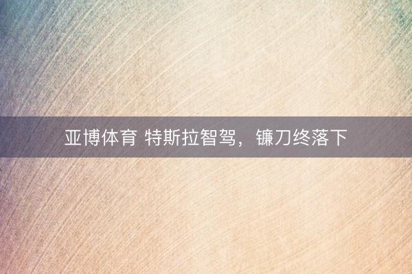 亚博体育 特斯拉智驾,镰刀终落下